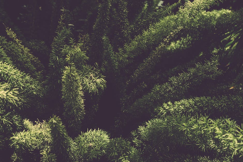 personal growth